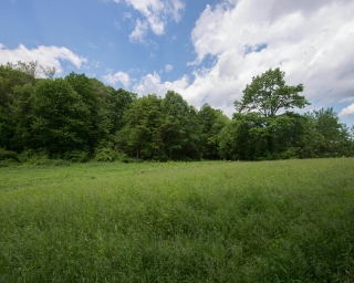 ½ Acre in Karen, near CUEA